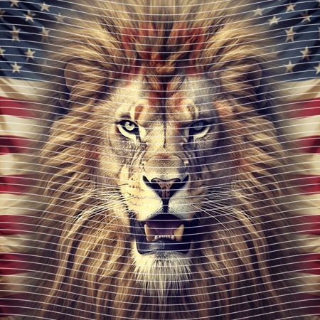 20oz integrate-EJ-10673